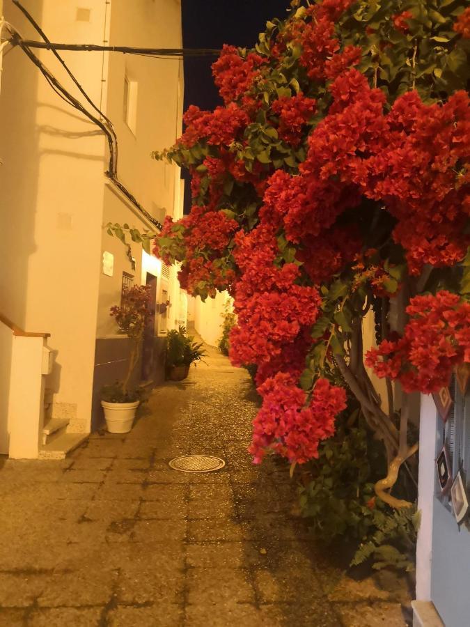 Corazon De Conil Lägenhet Conil De La Frontera Exteriör bild