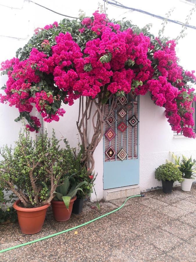 Corazon De Conil Lägenhet Conil De La Frontera Exteriör bild