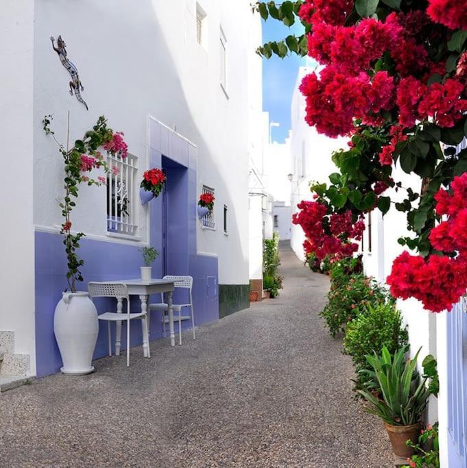 Corazon De Conil Lägenhet Conil De La Frontera Exteriör bild